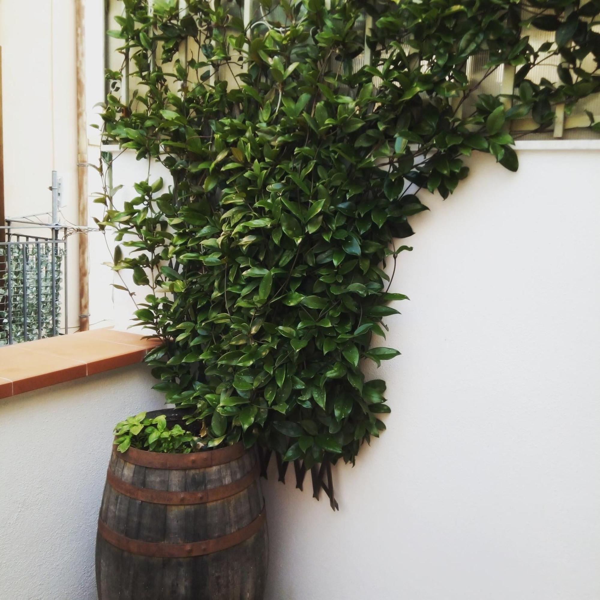 Il Terrazzino Sul Kemonia Apartment Palermo Luaran gambar